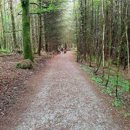 Jackson's Riverside Retreat Ballybofey